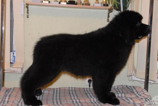 Фотография № 34542