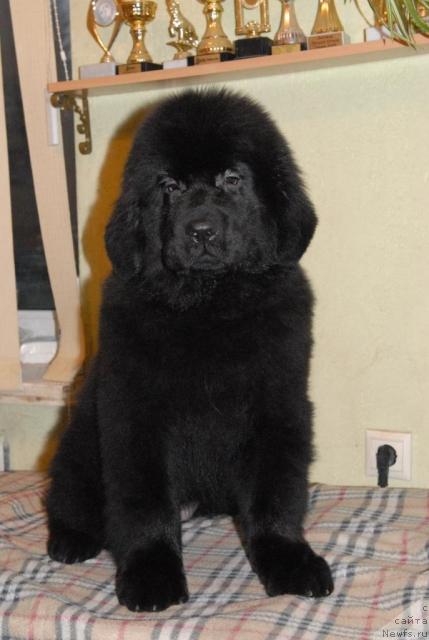 Фотография № 34544