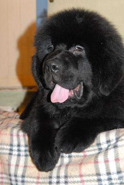 Фотография № 34550