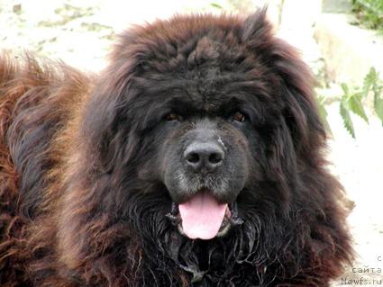 Фотография № 34551