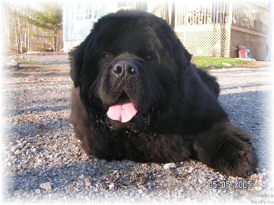 Фотография № 34552