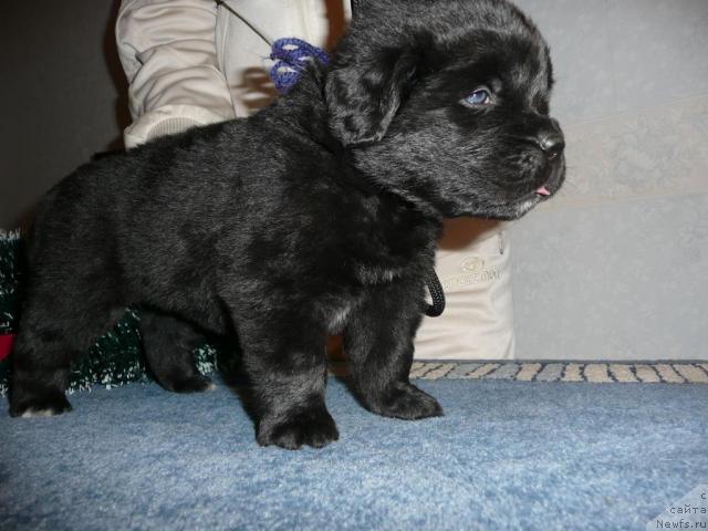 Фото: мальчик синия нитка