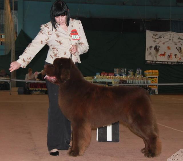 Фотография № 34614