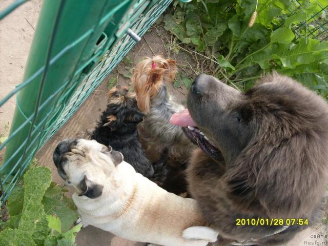 Фото: Наталья Бреева