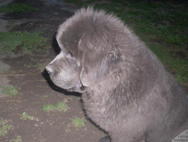 Фото: Наталья Бреева