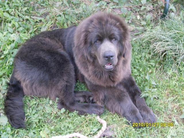 Фото: Наталья Бреева