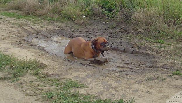 Фотография № 34722