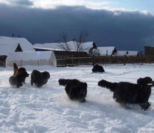 Фотография № 34740