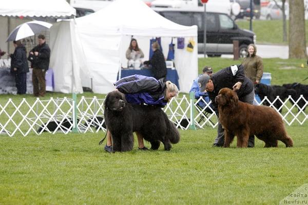 Фотография № 34764