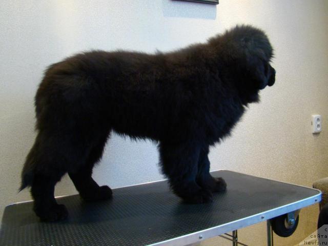 Фотография № 34776