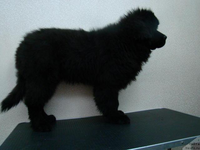 Фотография № 34777