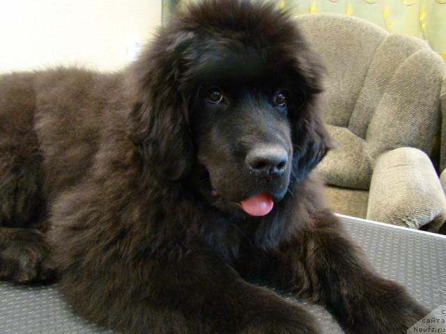 Фотография № 34778