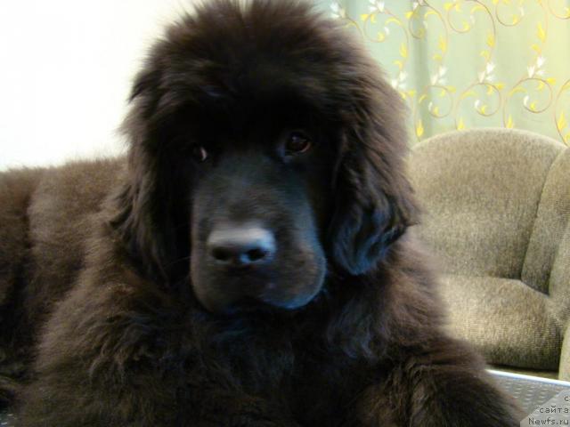 Фотография № 34779