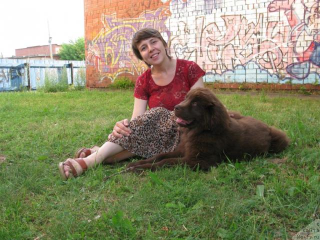 Фото: ньюфаундленд Магнат из Аркаима, Светлана Петруй