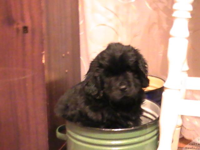 Фото: Ярада из сибирской глубинки