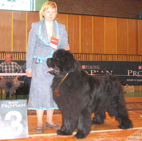 Фотография № 3480