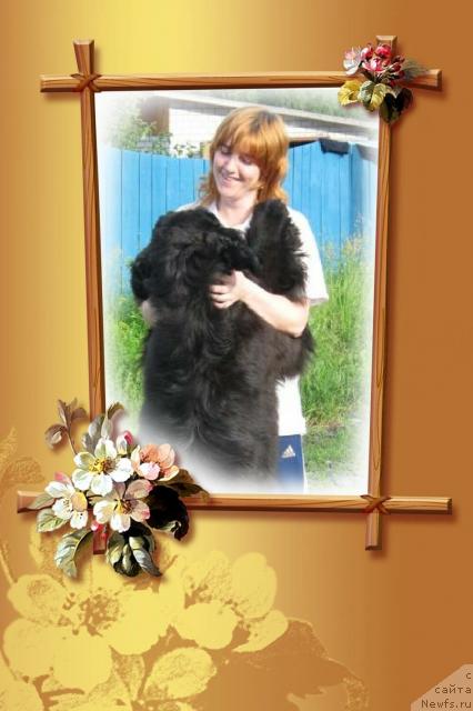 Фотография № 34808