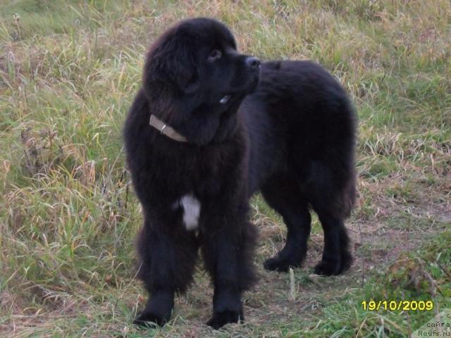 Фотография № 34843