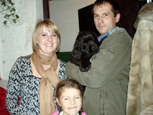 Фото: ньюфаундленд Потап Ярославна, Павел Жиливостов