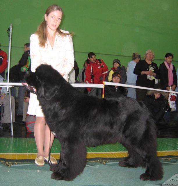 Фотография № 34888