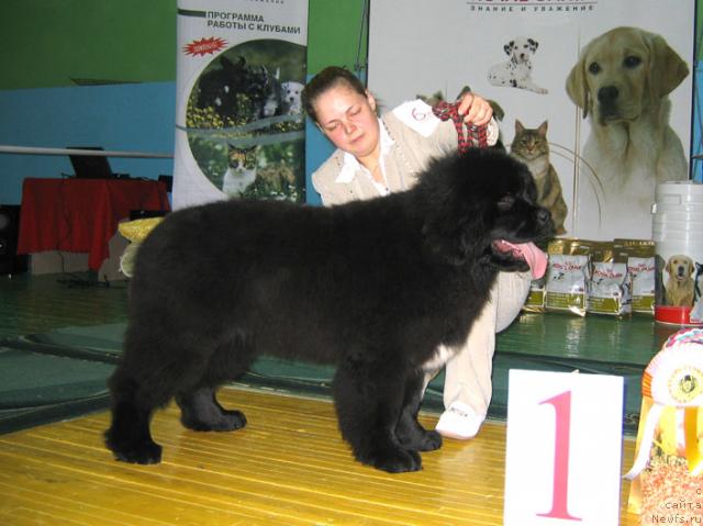 Фотография № 34892