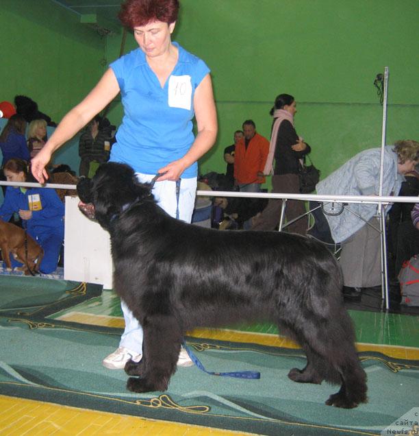 Фотография № 34894