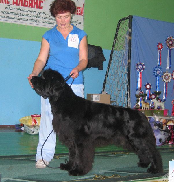 Фотография № 34896