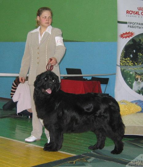 Фотография № 34897