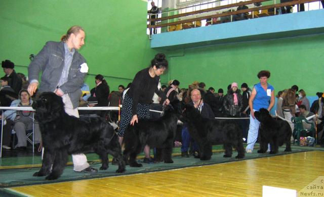 Фотография № 34899