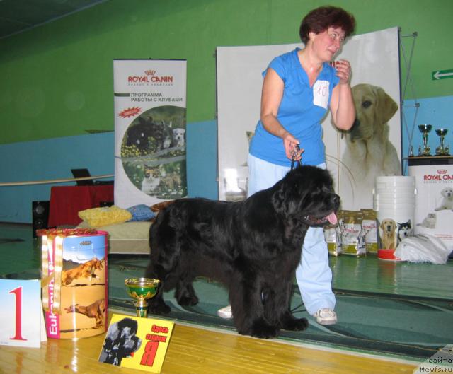 Фотография № 34900