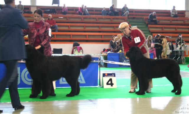 Фотография № 34912