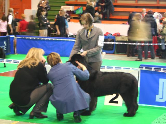 Фотография № 34914