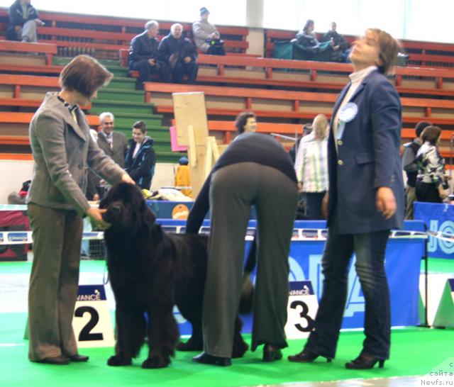 Фотография № 34915