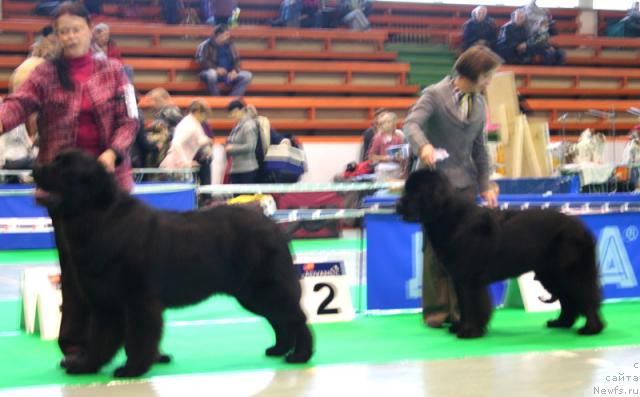 Фотография № 34918