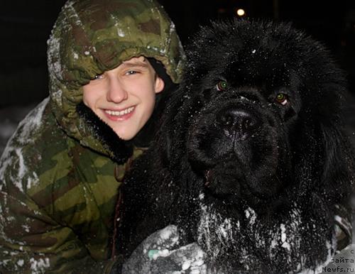 Фото: ньюфаундленд Потап Цеверон