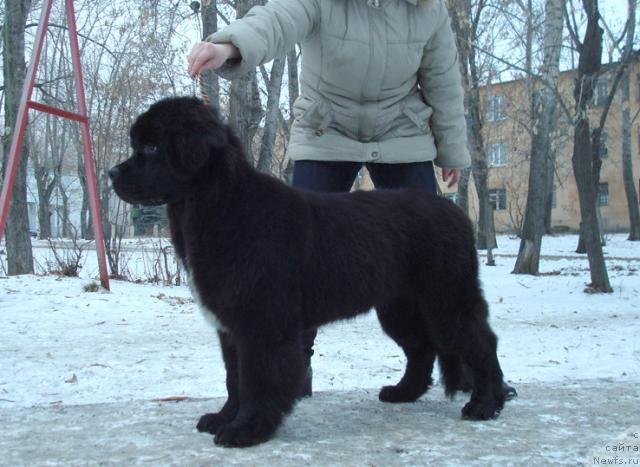 Фотография № 34929