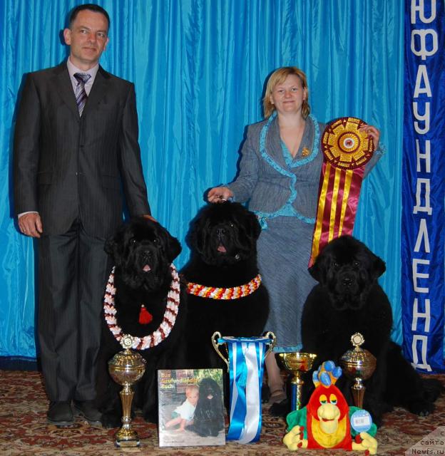 Фото: ньюфаундленд Акватория Келвин Героиня Романа (Aquatoriya Kelvin Geroinya Romana), ньюфаундленд King of Helluland Viking, ньюфаундленд Велл Спирит Лилит (Vell Spirit Lillit), Татьяна Абутова