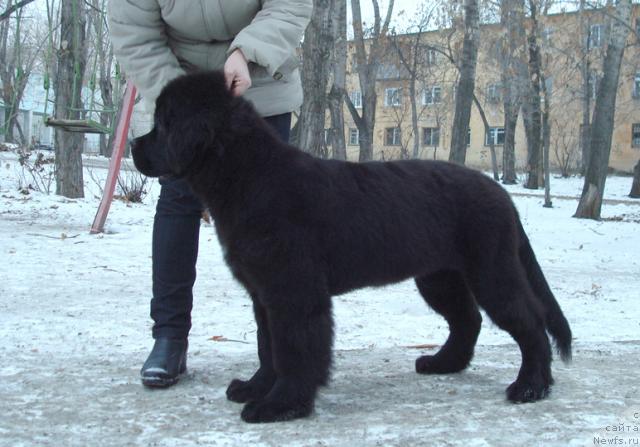 Фотография № 34931