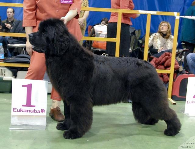 Фотография № 34935