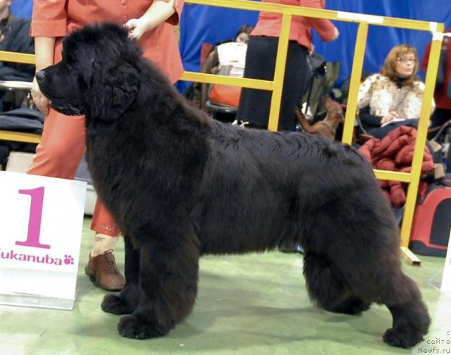 Фотография № 34936