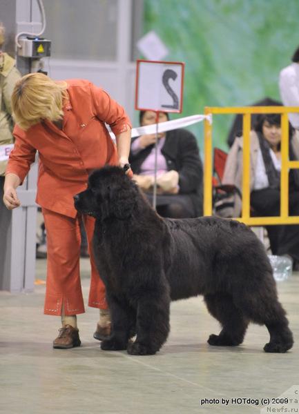 Фотография № 34937