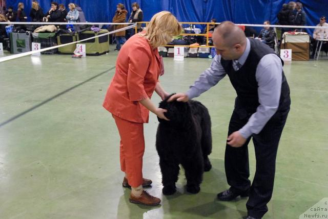 Фотография № 34943