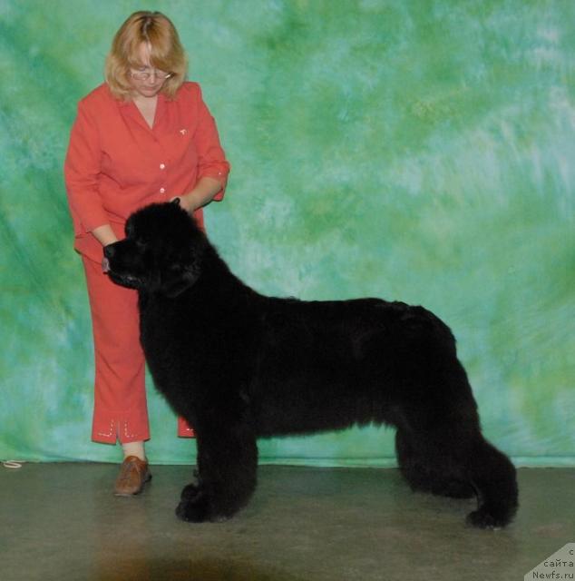 Фотография № 34945