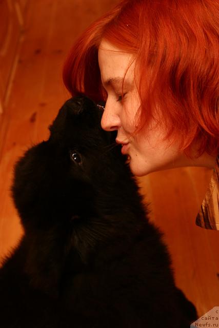 Фотография № 34946