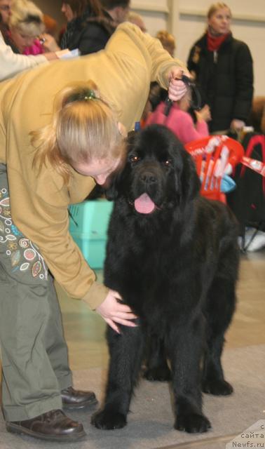 Фотография № 34970