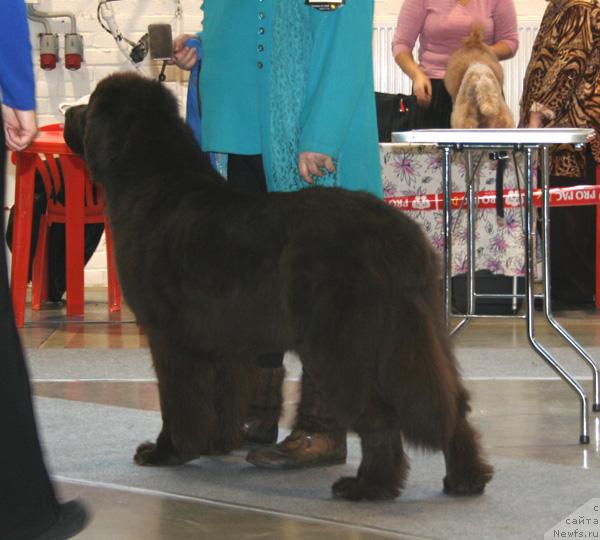 Фотография № 34972