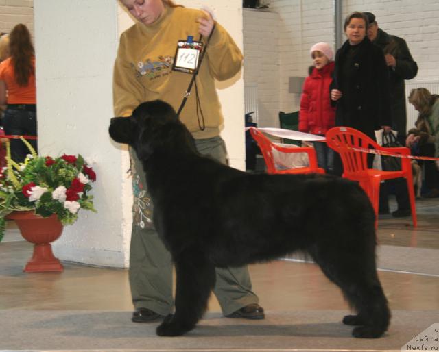 Фотография № 34976