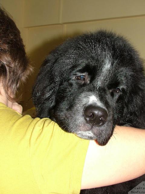 Фотография № 34984