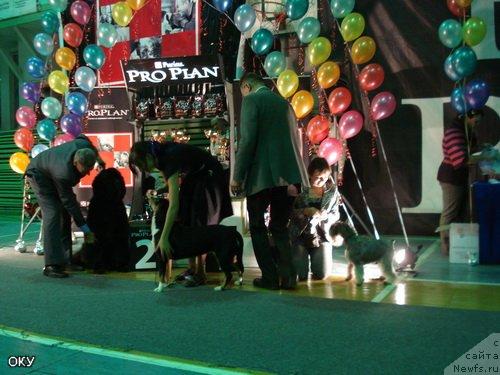 Фотография № 35012