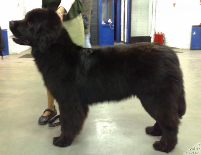 Фотография № 35014